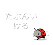 844935542