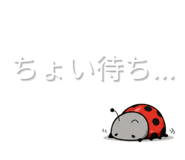 844935543