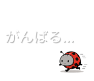 844935553