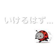 844935555