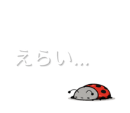 844935556