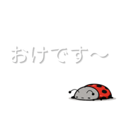 844935558