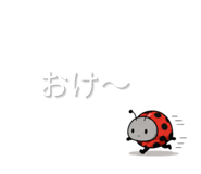 844935559