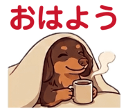 844935585