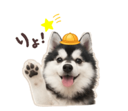 844935689