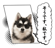 844935690