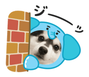 844935691