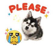 844935708