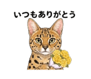 844935760