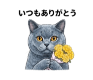 844935762