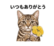 844935764