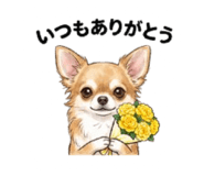 844935875