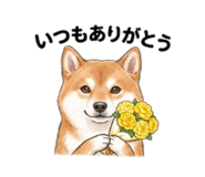 844935878