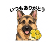 844935884