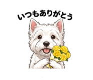 844935895
