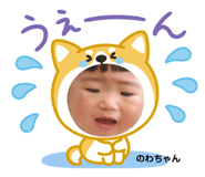 844937813