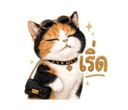 844938313