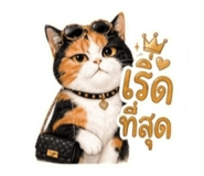844938315