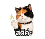 844938326