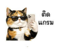 844938331