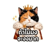 844938338