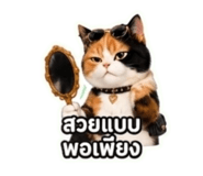844938342