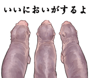 844938382