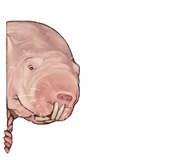 844938400