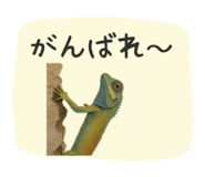 844938699