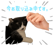 844938815