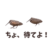 844939353