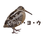 844939355
