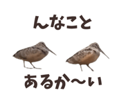844939358
