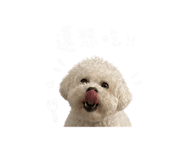 844939446
