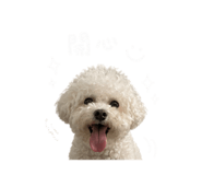 844939451