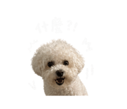 844939453