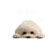 844939455