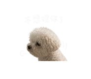 844939457