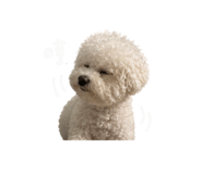 844939459