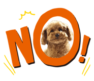844939688