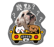 844940116