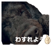 844943693