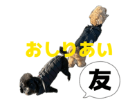 844943698
