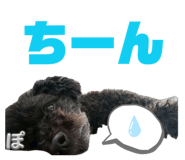 844943711