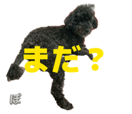 844943721