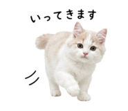 844945699