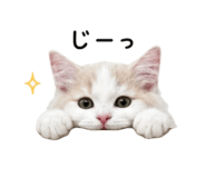 844945701