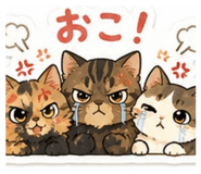844945731