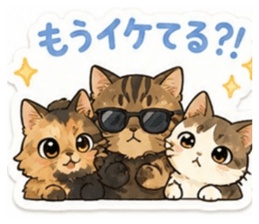 844945735
