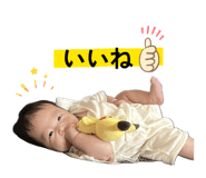 844946484